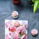 머슬프리덤 이미지