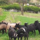 홍길동농장 이미지