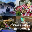 공주-46 | 공주 글램핑 파크오브드림 대전 근교 감성 글램핑 추천 파크동 A.1 후기