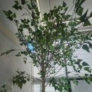 행복한지압원 이미지