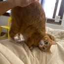 우리산장 이미지