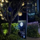워시하이(Wash High) | 호텔 냐짱 숙소 InterContinental Nha Trang 클래식오션뷰 하이플로어 고층 기념일 케이크 후기