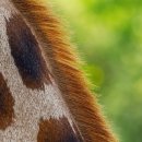 덕성민박 이미지