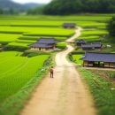 보편적스테이민박 | 대한민국 남들모르는 시골여행, 진정한 숨겨진 매력 찾는 법