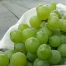 김정순농장 이미지
