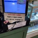 눕카페&피자펍 | 눕카페&피자펍, 서울 주차가능한 해방촌 남산타워뷰 힐링 맛집 겸 카페 내돈내산 후기