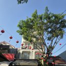 아트호텔 | 호이안 호텔 추천 가성비 메릴리 데 아트 호텔 2박 후기