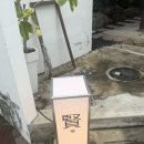 광주 와인바 추천 동명동 어질현 또간집 메뉴추천