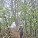 옥문 - 안산시 상록구 선진4길 19 | 옥문