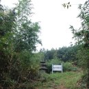 봉남리 삼층석탑 이미지