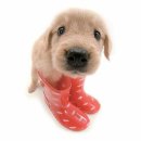 청두곶길1-1 이미지