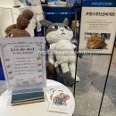 에잇세컨즈 부산광복점 | [부산/광복롯데] "프랑스루브르바게트" 팝업스토어 방문 후기