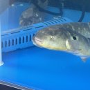 서초중앙로24길1-13 이미지