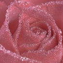 명진기획 - 담양군 | 명진기획