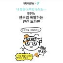 루딕 이미지