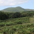 남원읍-107 이미지