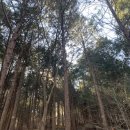 돈오락쪽갈비 구시청점 이미지