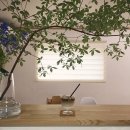 자연인테리어 이미지