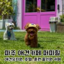 퍼피힐 | 퍼피힐 재오픈! 훈련사님 상주하는 파주 애견카페