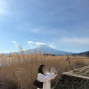 세네코 | [DAY2] 도쿄근교여행 가와구치코투어 후지산 ⛰️🏔️ / 후지산로손