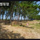 은빛모래야영장 | 충남 태안군 캠핑장 추천 중앙캠핑장 중앙캠핑장 깨끗한 바닷가 힐링 캠핑