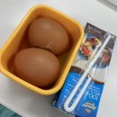 뉴현대약국 | 9월 1주차 - 올리브영세일, 도미노skt할인, 방탈출공포테마, 서울 한남동, 성수동 나들이 갔다온 일주일