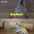 대금농장 이미지