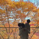 대가족 | 가평 아난티코드 테라스하우스 룸컨디션 대가족 숙박후기｜부모님·아이 동반 솔직리뷰