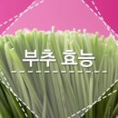 쉐르빌서울치과의원 이미지