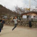 민들레양계장 이미지