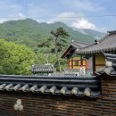 [원주] 구룡사 템플스테이 힐링기 :-)