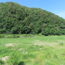 주천카 Daum카페