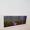 현대양재 이미지