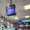 노량진 수산시장 회센터 l 오마카세 맛집 &#39;청양수산&#39; (feat.배탈 후 보험청구 후기)