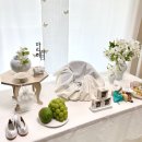 그린테이블 | 집에서 한 백일잔치, 바오테이블 화이트그린 타입 만족 후기