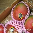 국대과일 이미지