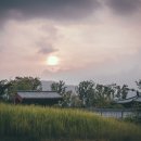 하루정원 이미지