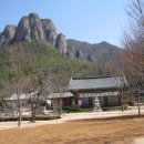 돌비민박 Daum카페