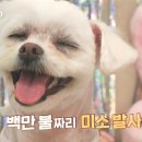 보광동물병원 이미지