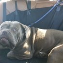 어서타개 이미지