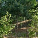 한남파크모텔 이미지