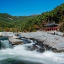 동호정(東胡亭) 이미지