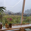 미필라테스 이미지