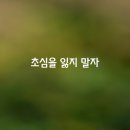 초심 이미지
