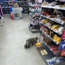 이마트24태안몽산포중앙점 이미지