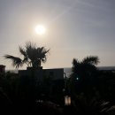 썬빌리지(슈퍼) | [제주 서귀포 감성숙소] 오션뷰 독채펜션 코지사이(썬빌리지)