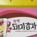 현대농원 이미지