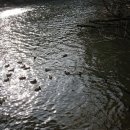 정섭농장 이미지