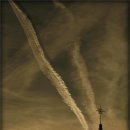 임당성당 이미지