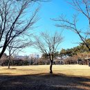 광도면 죽림민원실 이미지